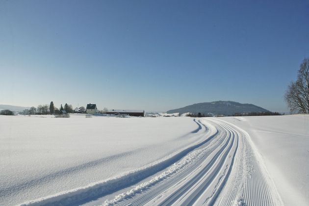 Skiløpe Steinhuset